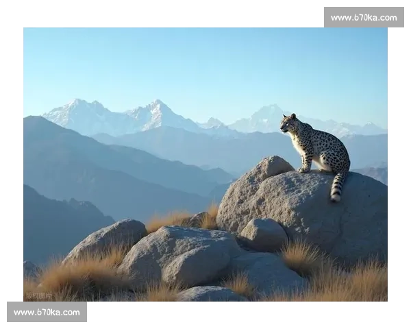 棕熊对决狼群生死博弈揭示自然法则与力量智慧的终极较量与生态真相