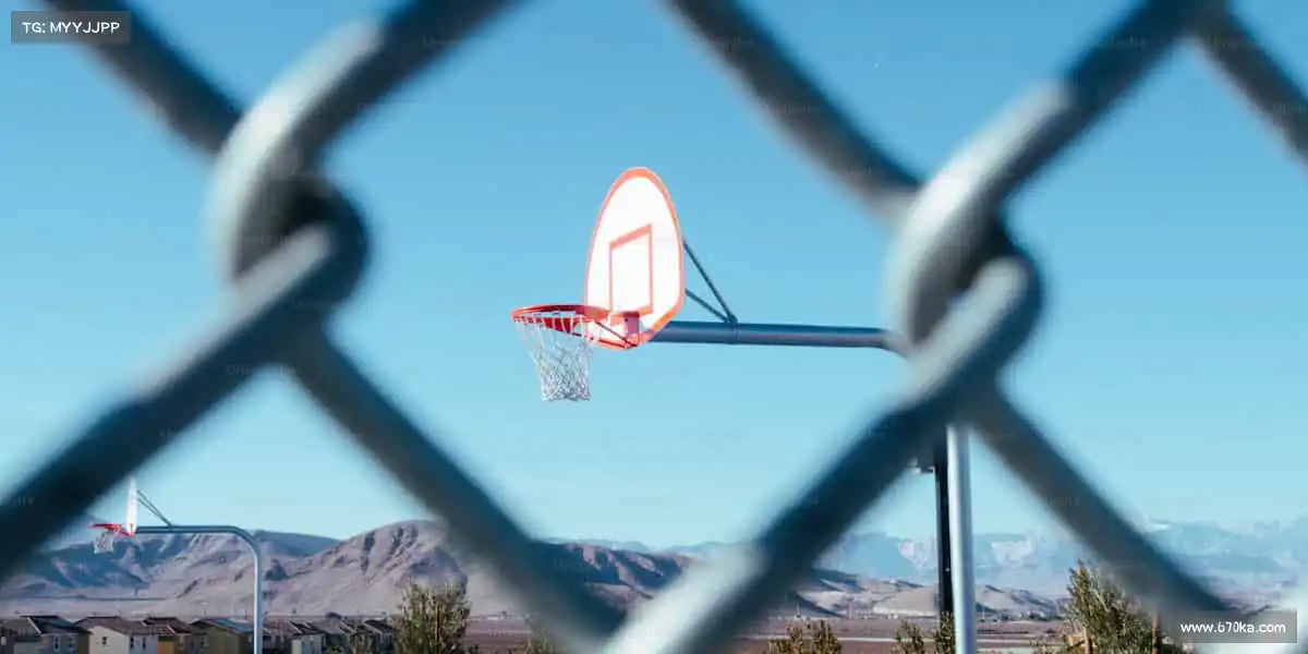 我们的品牌价值